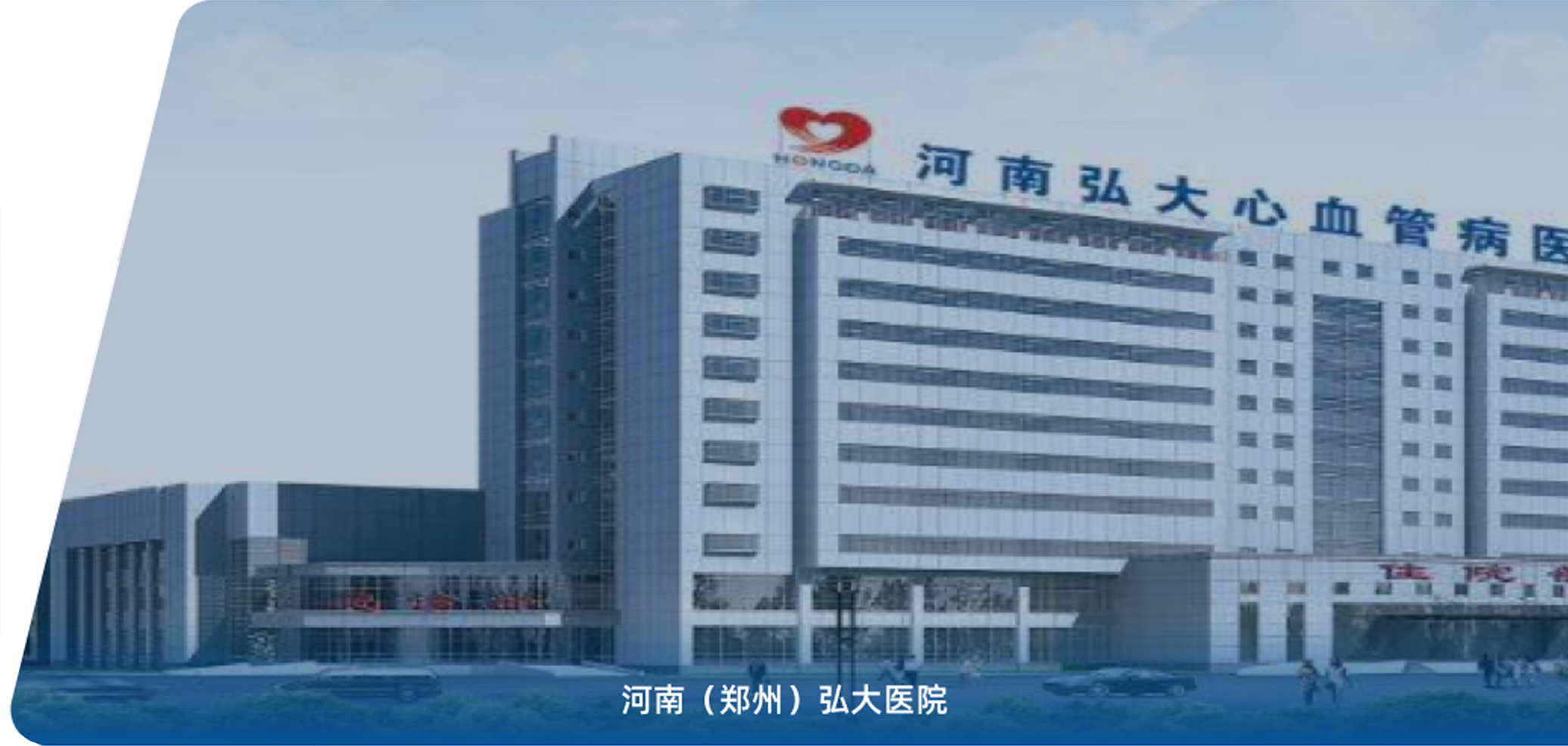 典型案例